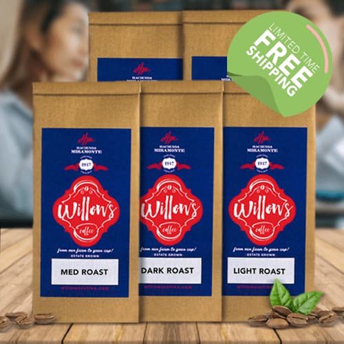 Willows Coffee - cover
