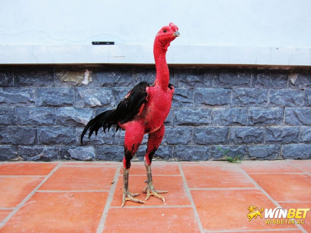 flipboard.com