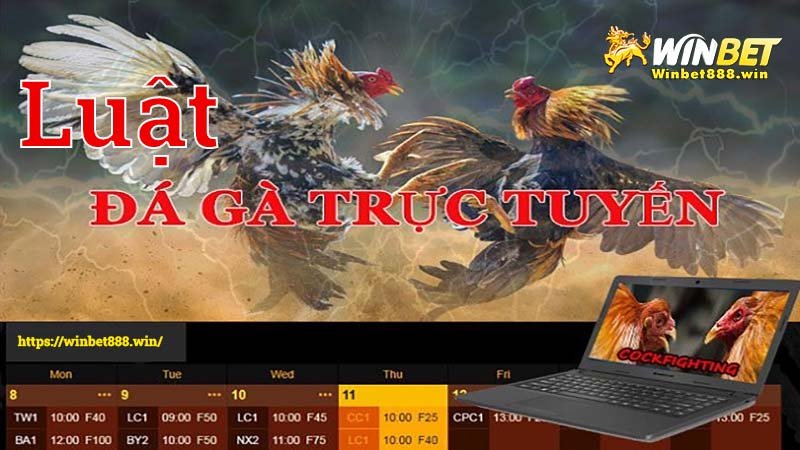 Chơi thể thao và sổ xố tại winbet