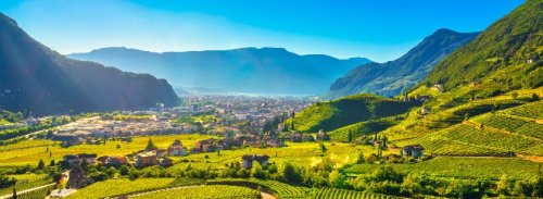 Cool Alto Adige Makes Hot Sauvignon Blanc | Wine-Searcher News & Features