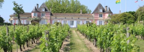 France Buys Back Bordeaux | Wine-Searcher News & Features