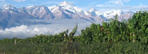 Extreme Winemaking for Extreme Conditions | Wine-Searcher News & Features
