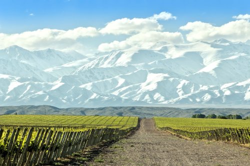 The Best Wineries (and More) to Visit in Mendoza, Argentina