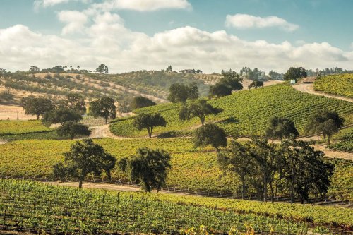 A Wine-Lover’s Guide to Paso Robles: 11 Appellations to Know