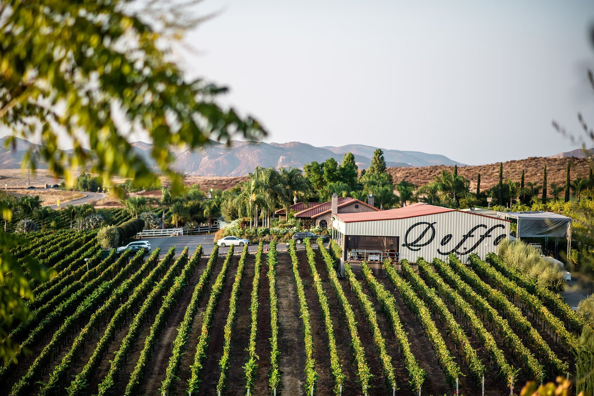 Temecula Valley Is Elevating the Wine Country Experience—These Are the Top Tasting Rooms to Visit