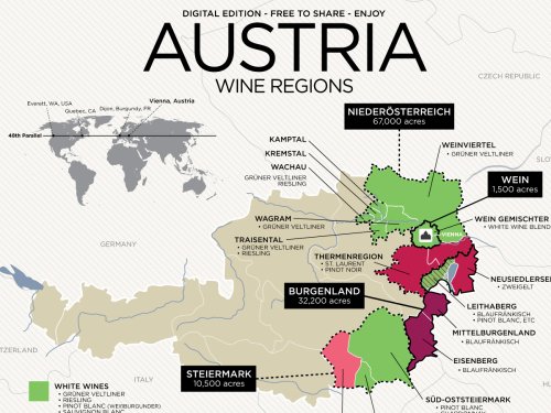 Get to Know Austrian Wine (with Map) | Wine Folly