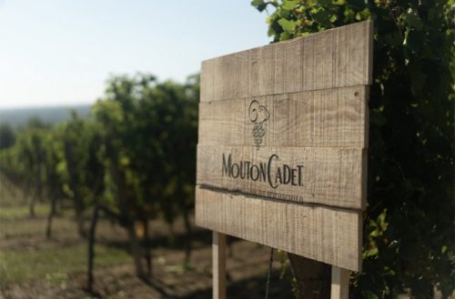 Mouton Cadet Brings Out The Magic Of Bordeaux Flipboard