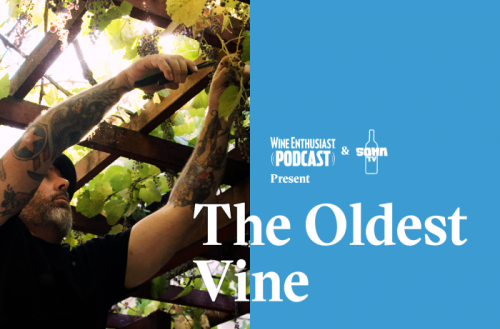 The Oldest Vine in the World Is Still Producing Wine