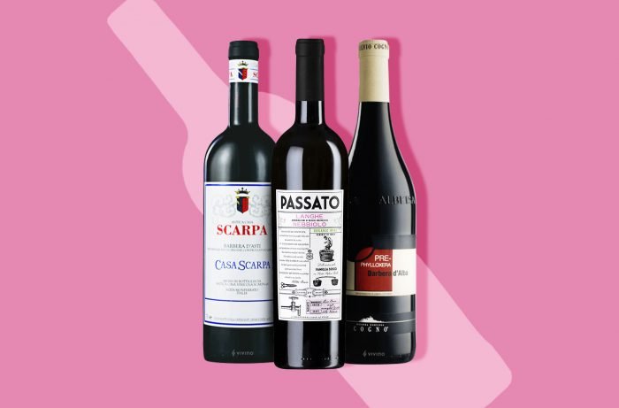 7 Fruity Barbera Wines to Try - cover