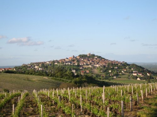 Best Wineries in Sancerre, Wine Tours & Tastings 2024