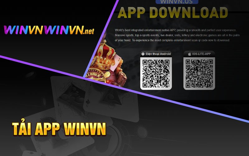Winvn Winvnwinvn.net Nhà Cái Cá Cược Số #1 Việt Nam cover image