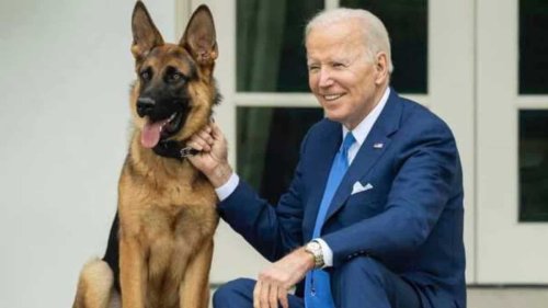 US President Joe Biden's dog bit Secret Service members at least 24 times in less than a year