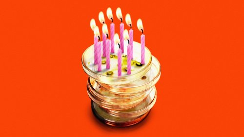 The Science That Could Help You Live to 100