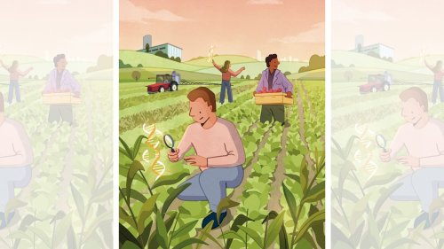 Crispr Wants to Feed the World