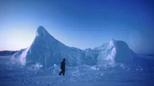 Environment - cover