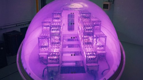 Pop-Up Farming Pods to Help Colonizers Grow Crops on Mars