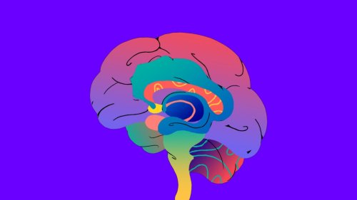 How to hack your brain to remember almost anything