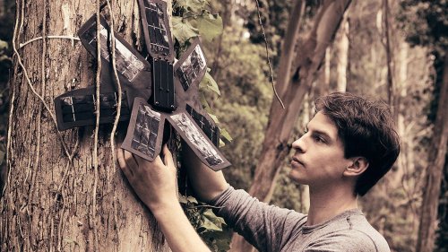 Old mobile phones are helping to save the rainforest