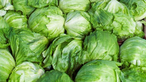 ¿Qué es la diarrea explosiva y qué se sabe del brote relacionado con lechuga mexicana?