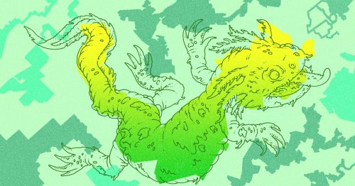 Gerrymandering Is Illegal, but Only Mathematicians Can Prove It