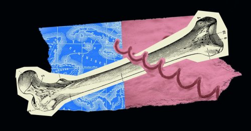 A Medieval French Skeleton Is Rewriting the History of Syphilis