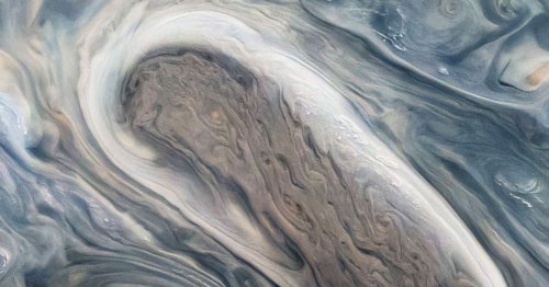 Earth’s Oceanography Helps Demystify Jupiter’s Flowing Cyclones