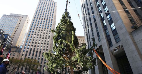 In Defense of Rockefeller Center’s Ugly, Perfect Christmas Tree