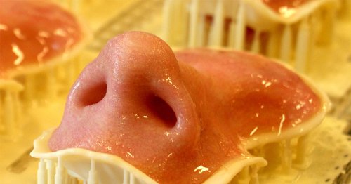 Look at These Crazily Realistic 3-D Printed Noses and Ears