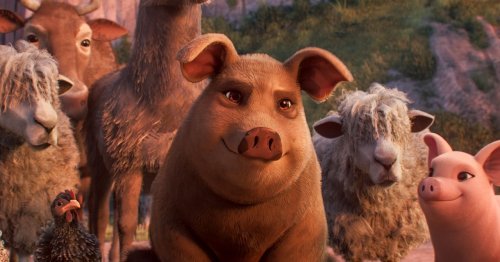 MAGA Is Confused About ‘Animal Farm’ | Flipboard