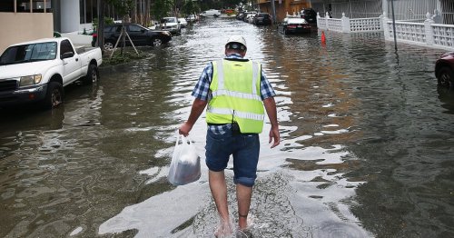 Rising Seas Could Cause Your Next Internet Outage