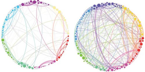 Science Graphic of the Week: How Magic Mushrooms Rearrange Your Brain