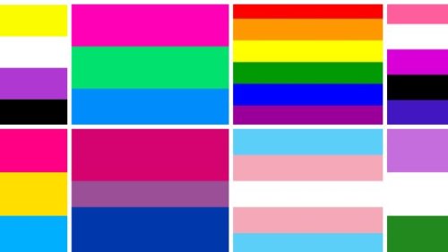 Le bandiere dell'orgoglio lgbt+, spiegate