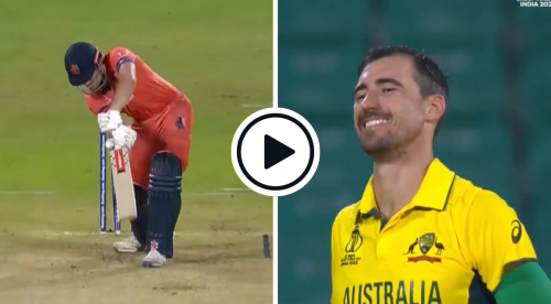 Watch: Mitchell Starc Takes Fiery New-Ball Hat-Trick In Netherlands World Cup Warm-Up Game