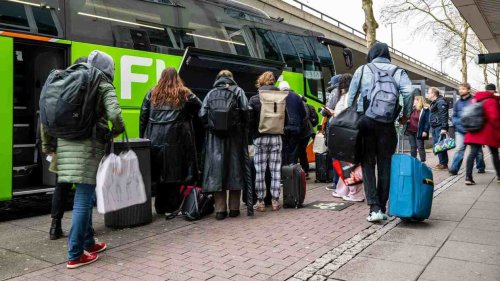  Flixbus: Jeder fünfte Bus war voll