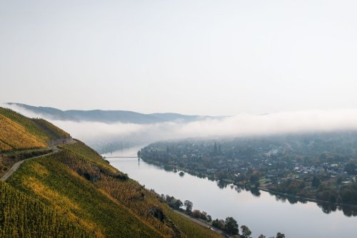 Wenn der Traum vom Weingut zum Albtraum wird