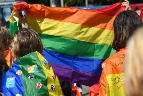 US-Unternehmen streichen Gelder für CSD
