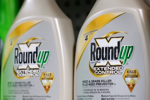 Bayer strebt wohl Vergleich für Roundup an und prüft Konkurs von Monsanto