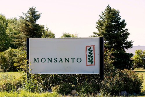 Lasst Monsanto leben!