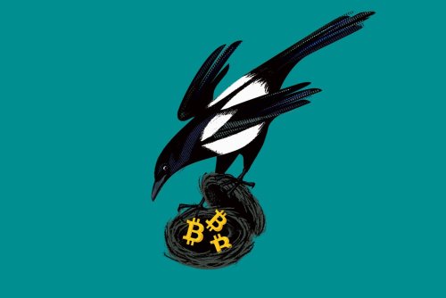 Jetzt eröffnen die Finanzämter die Jagd auf Kryptoanleger