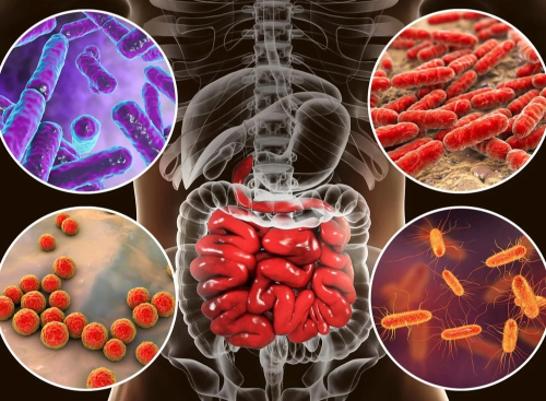 Transgenes in the gut found to reverse cancer and Type 2 diabetes