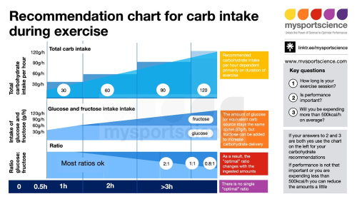 The optimal ratio of carbohydrates