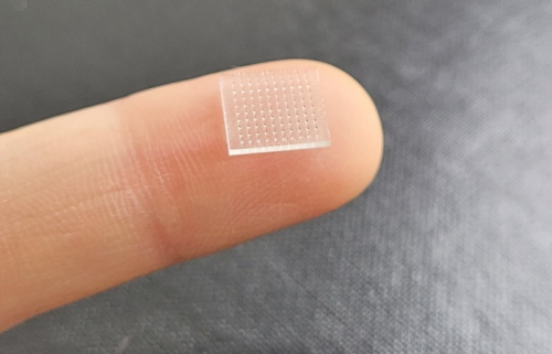 A 3D printed vaccine patch offers vaccination without a shot
