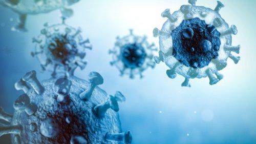 Modified virus eliminates cancerous tumors from the inside out