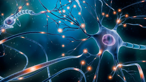 Lifechanging research finds that damaged nerves can be regenerated