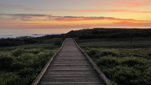 Cambria: pull off Highway 1 and check it out!