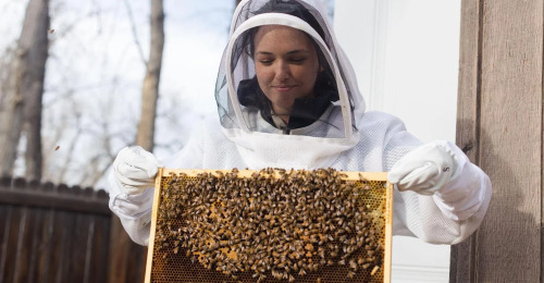 How Many Bees Can You Fit In An X-ray Machine? The Reason Why Will 