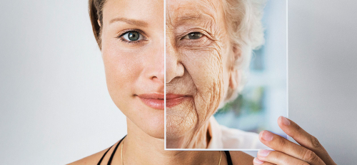 Aging researchers have discovered the Fountain of Youth