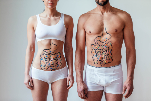 Gut microbiome may hold key to combat muscle decline as we age