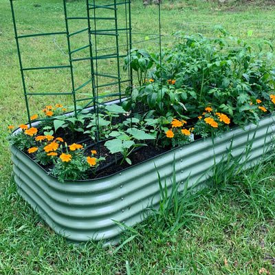 Thinking About Creating A Raised Garden Bed? Here's What You Need To Know