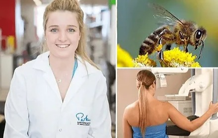Cancer breakthrough: Honeybee venom can destroy breast cancer in under 30 minutes